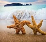 relationships-and-life-coaching
